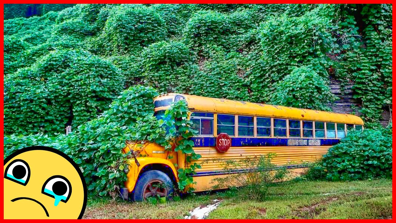 Abandoned School Bus. Old abandoned Yellow School Bus in USA. Abandoned Rusty School buses