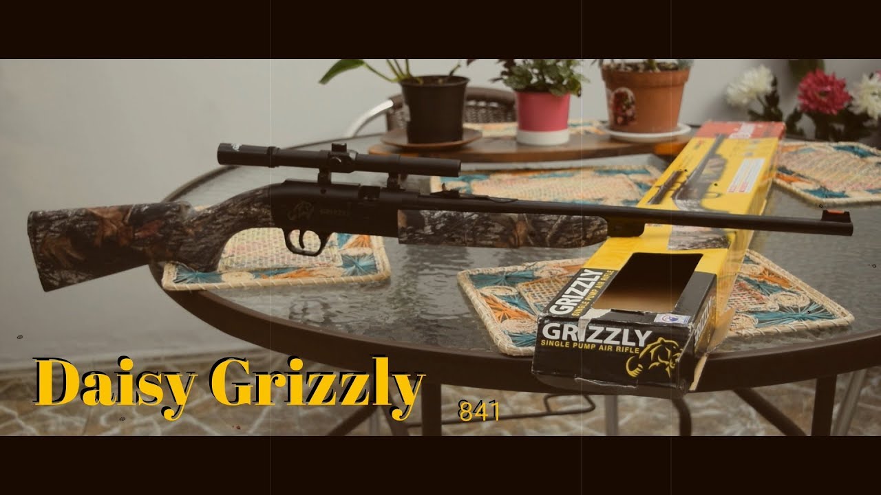 Daisy Grizzly Rifle - Unboxing + Test