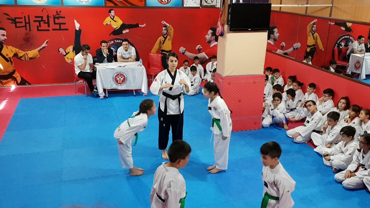 Taekwon-do yeşil kuşak sınavı