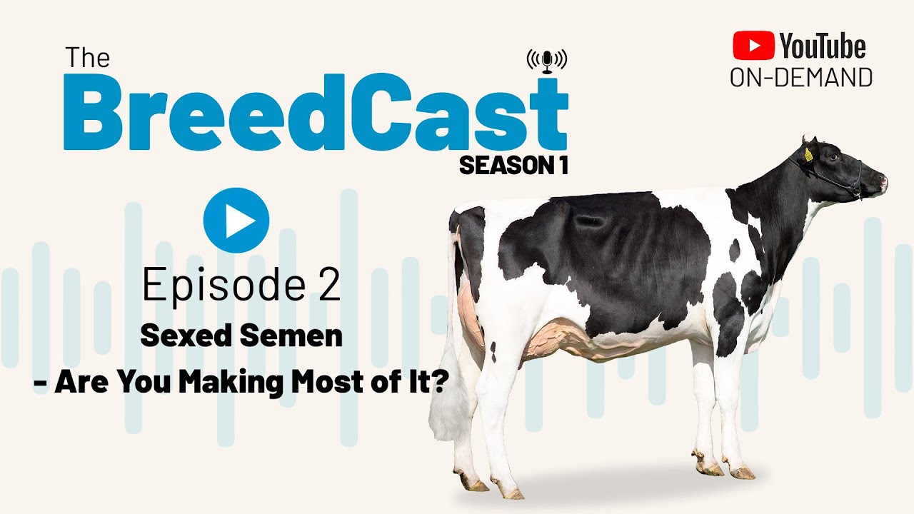 The BreedCast: S1 Episode 2 - Sexed semen