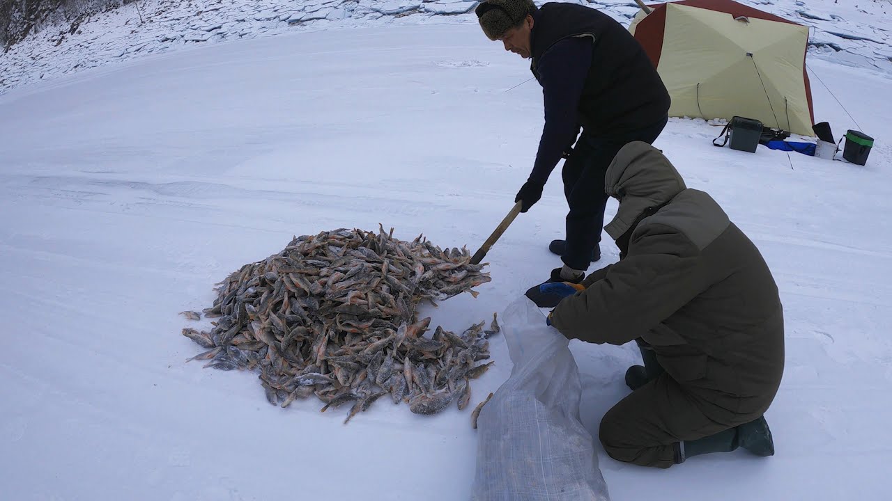 КАНТЕГИРСКАЯ ИСТОРИЯ | МАКАРОНЫ ПО-ФЛОТСКИ ОТ ГЕННАДИЯ