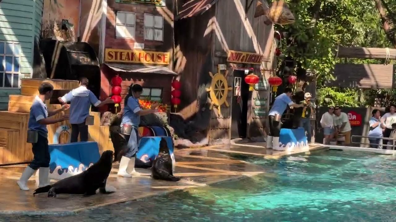 Sea Lion Show in Thailandচলুন ঘুরে আসি ঈদের ছুটিতে তিনটি দেশে WhatsApp +8801916-741007