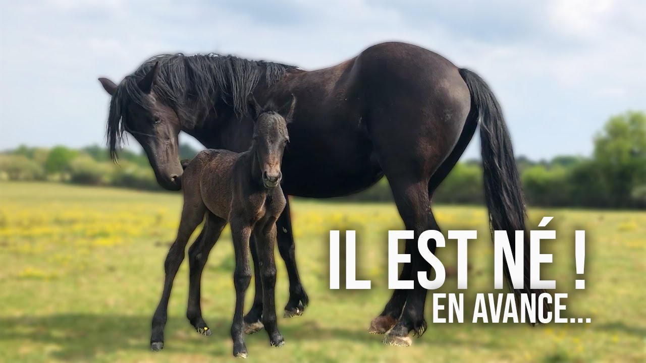 ÇA NE DEVAIT PAS ÊTRE POUR TOUT DE SUITE MAIS...