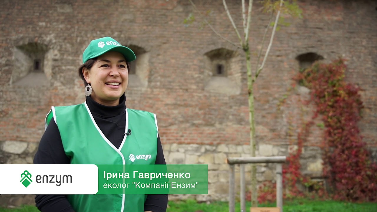 «Компанія Ензим» долучилась до акції «Мільйон дерев за 24 години»