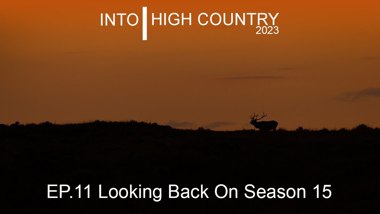 Looking back on Season 15