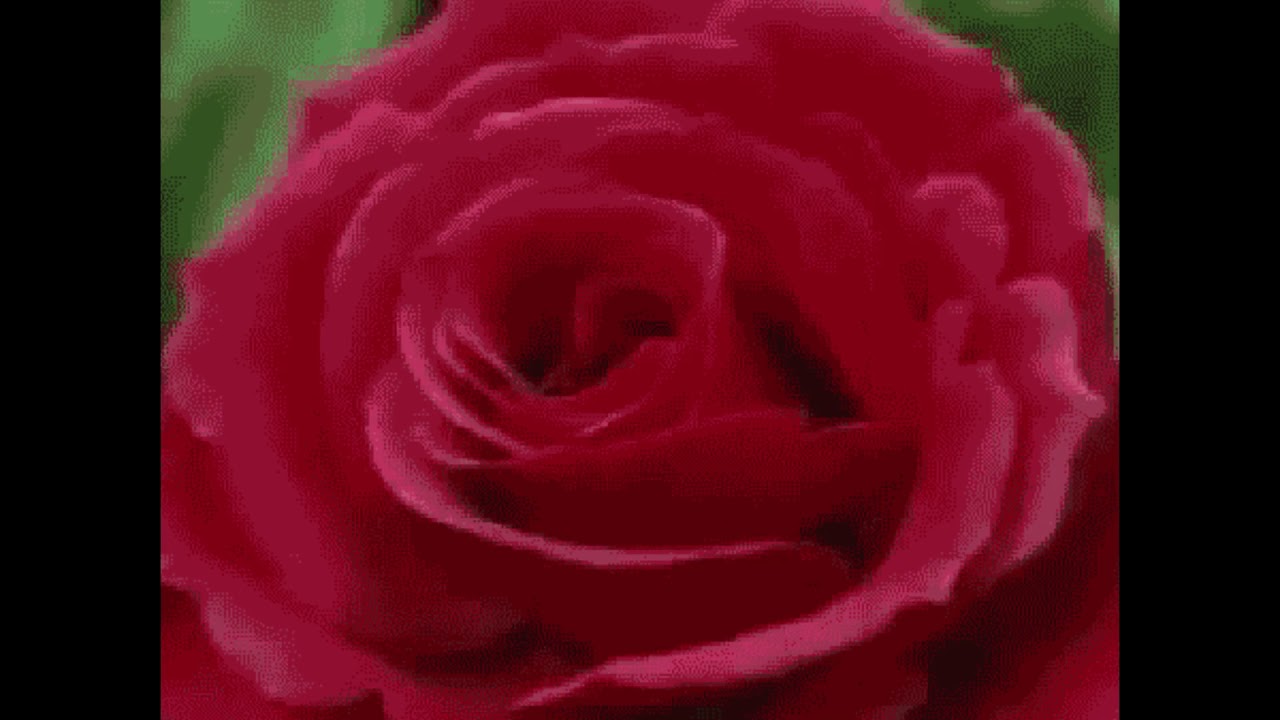 Sade - Jezebel  (Slowed + Reverb)