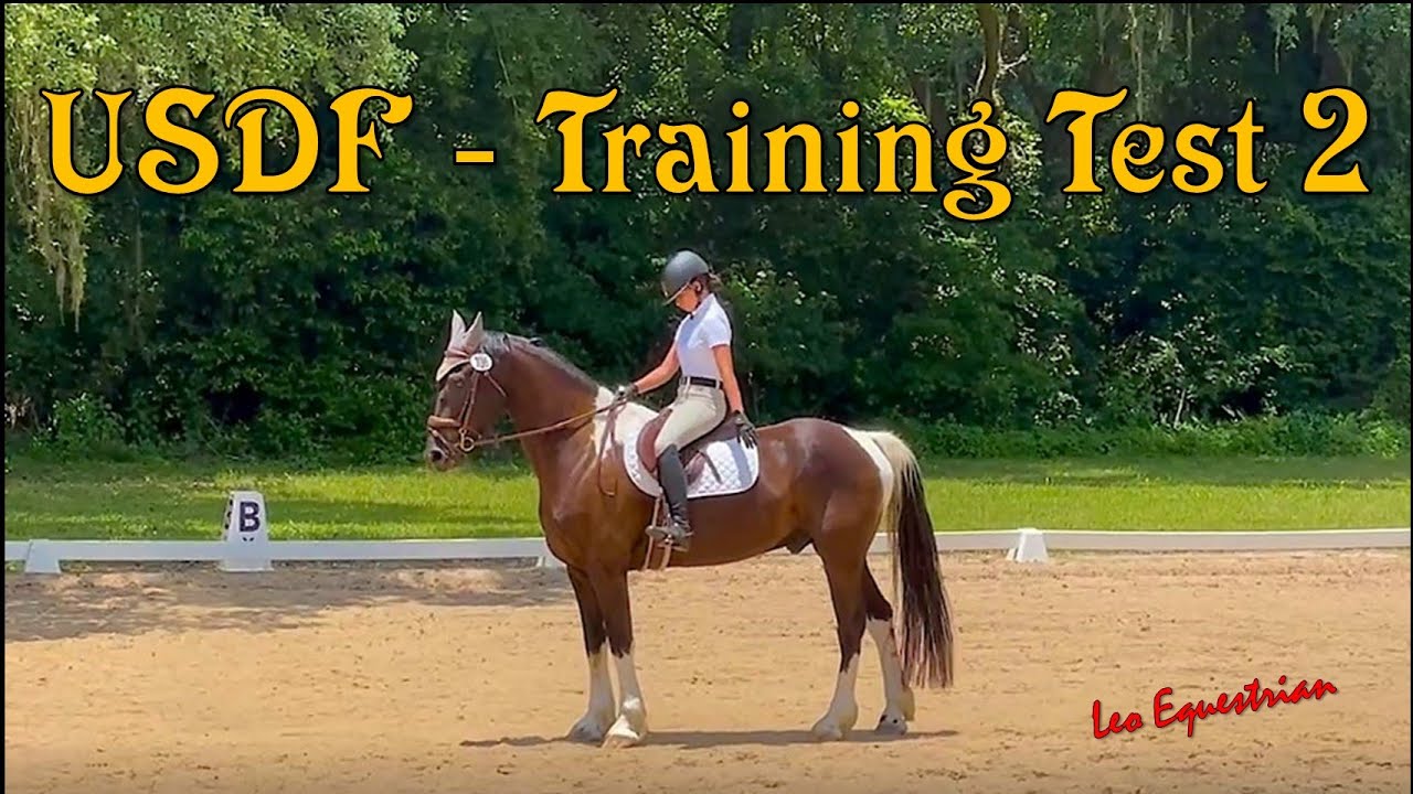 USDF - Dressage - Training Test 2 - Leo Equestrian
