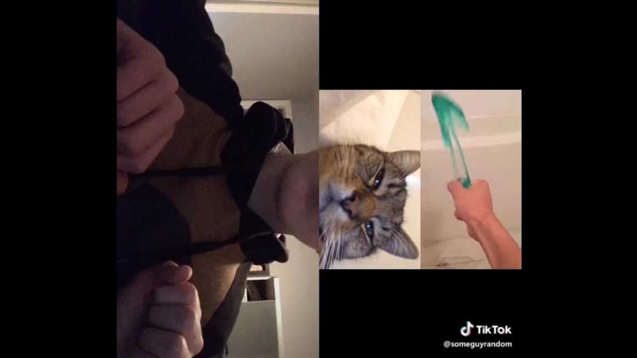 Funny Tik Tok Ironic Memes Compilation V8 Best Tik Tok Trolls