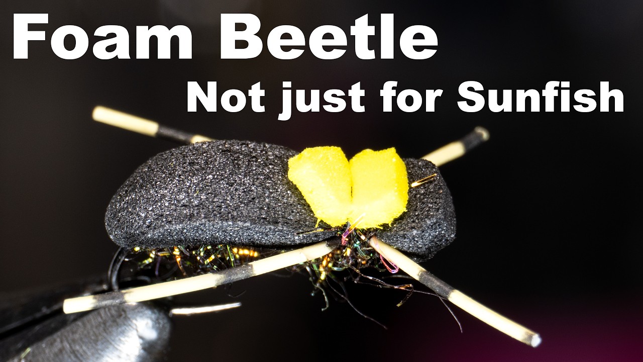Foam Beetle Fly - Best Panfish Fly? - McFly Angler Fly Tying Tutorial