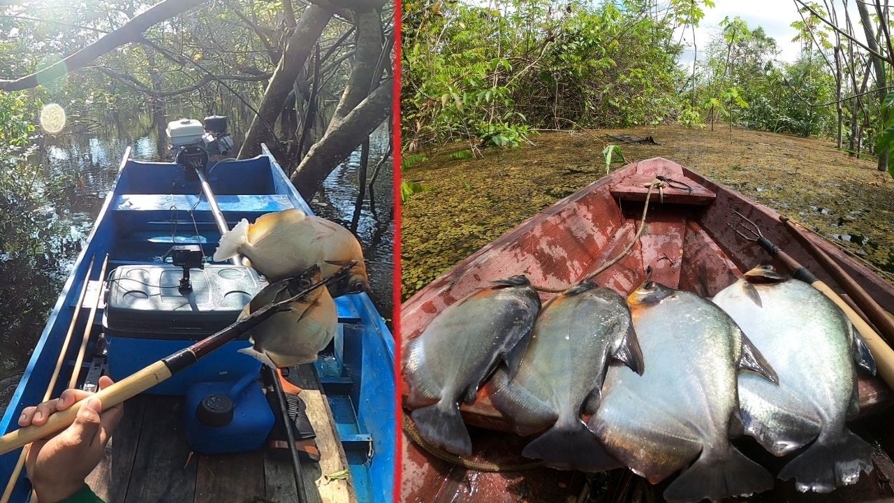 🎯 PESCA COM ARCO E FLECHA NA FRIAGEM - DESAFIO EXTREMO NA AMAZÔNIA! 🌡️🐟