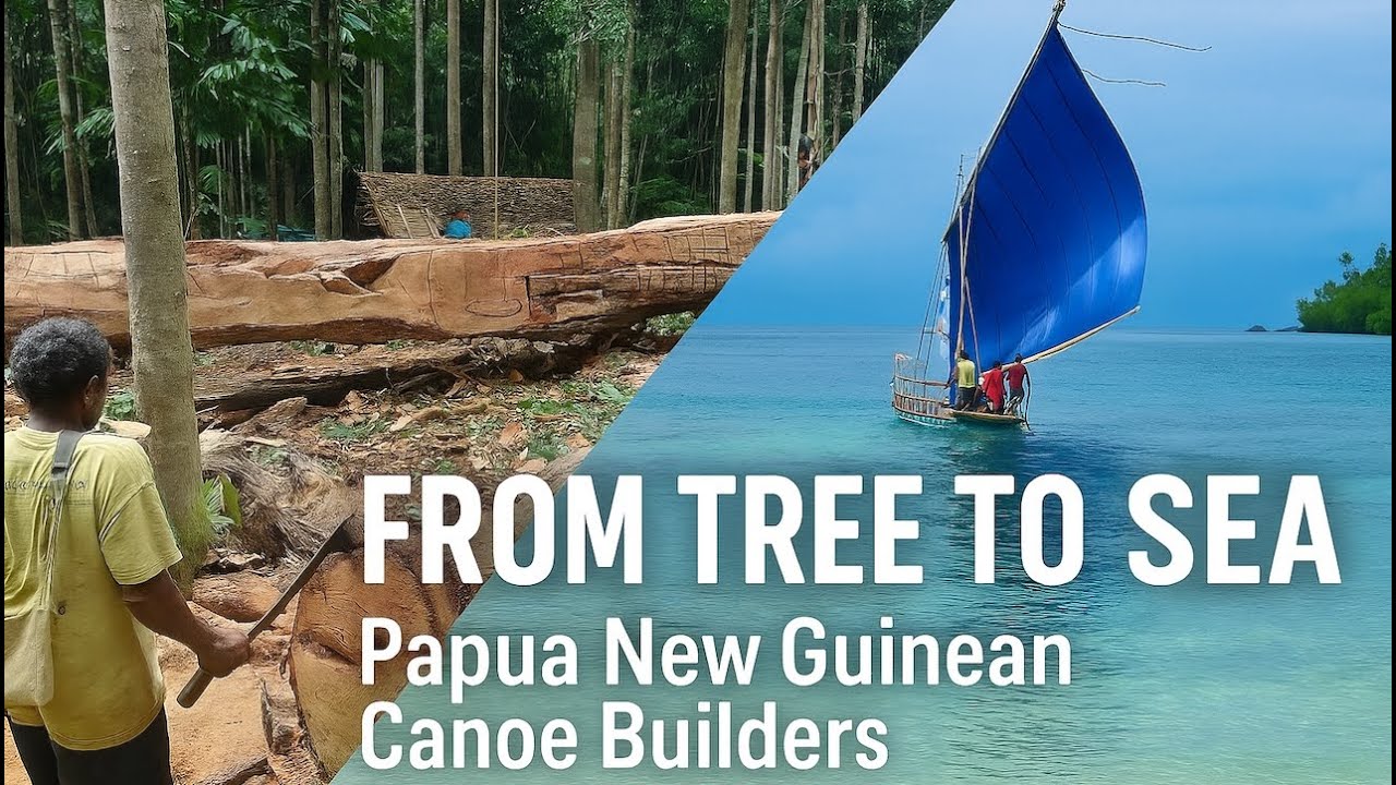FROM TREE TO SEA - Papua New Guinean Canoe Builders (trailer)