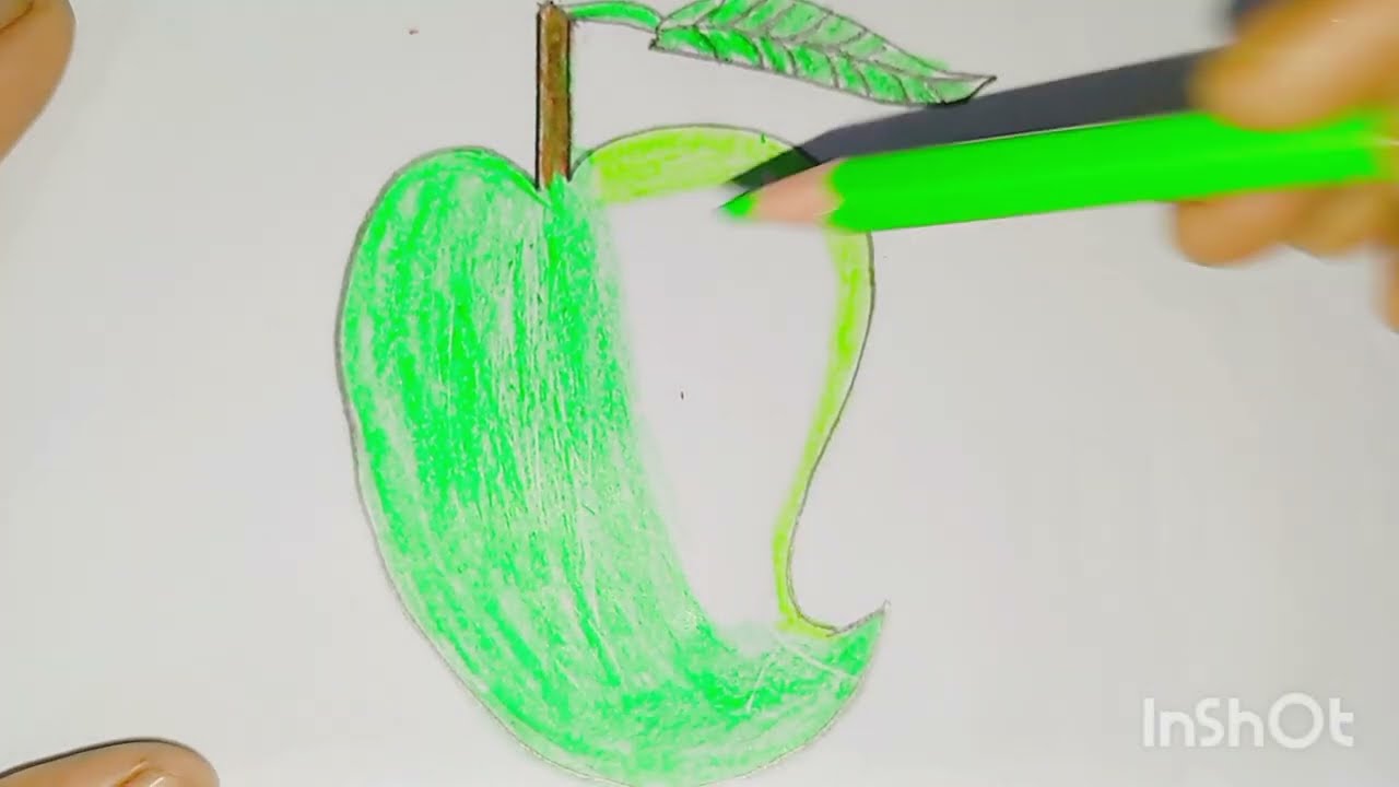 Mango drawing step by step 
