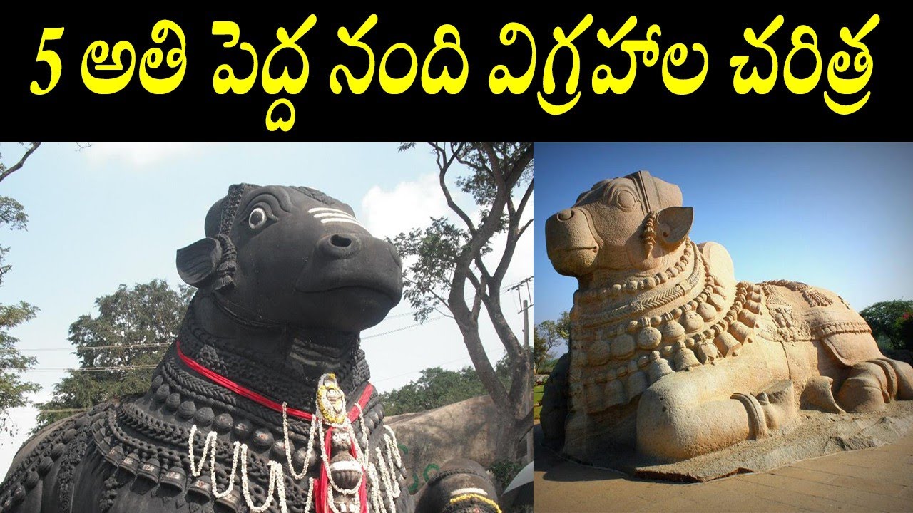 5 Biggest nandi statues in india/famous nandi temples history/lepakshi/bull temple bengalore/yaganti