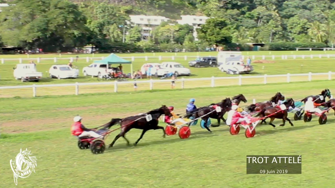 AHEE PF - Course de Trot du 09 juin 2019 Pirae