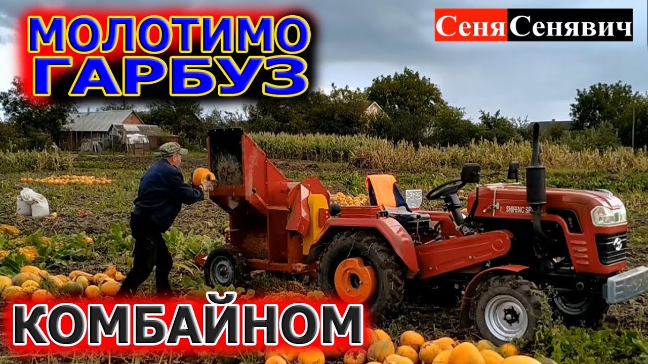 НАРЕШТІ НЕ РУКАМИ))) почали молотити гарбуз - УКРАЇНСЬКИМ міні ГАРБУЗОВИМ КОМБАЙНОМ МОРОЗА