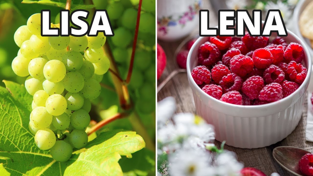 🥝 WHICH FRUIT WOULD YOU EAT? 🥝 | Lisa or Lena fruits edition | Little Supprice