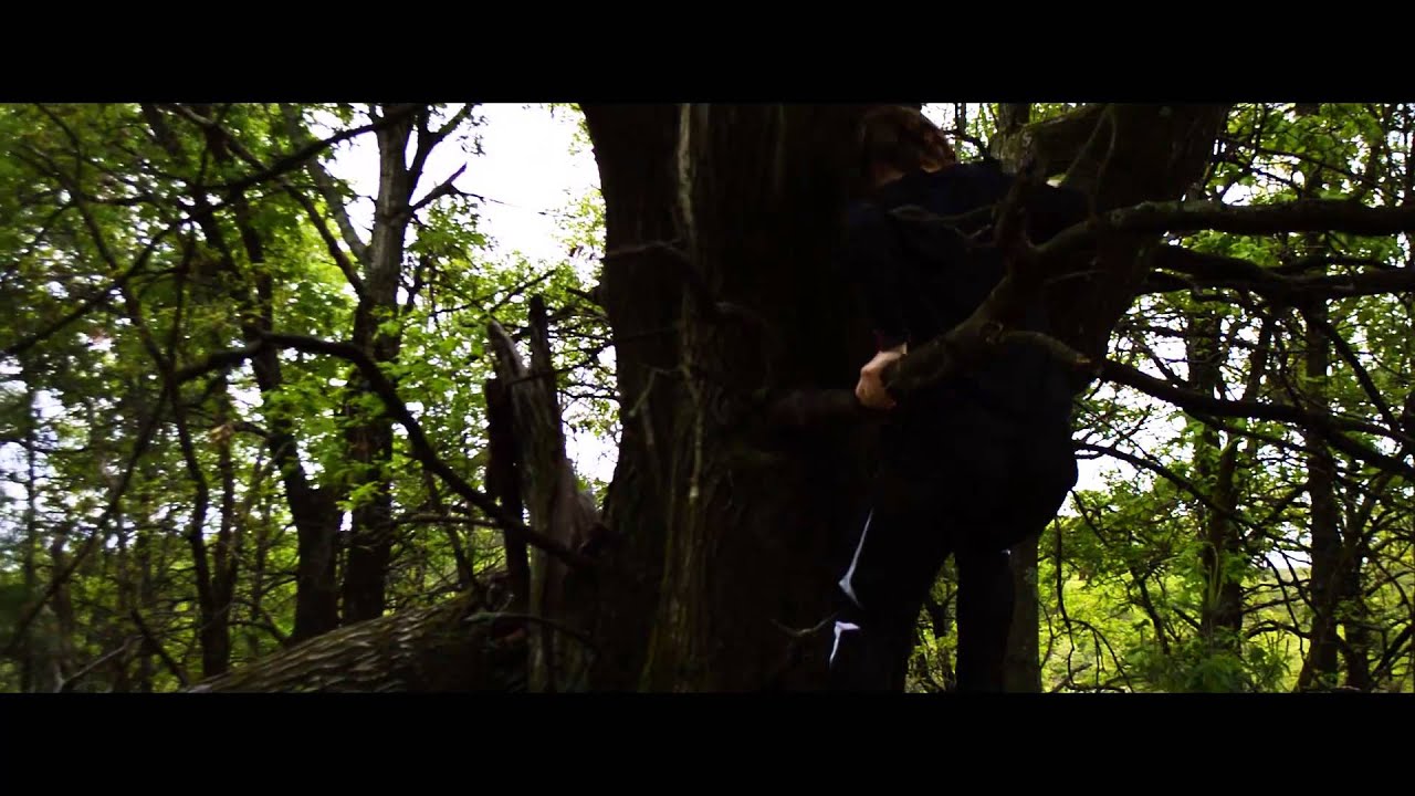 The Hunger Games - 100th Quarter Quell