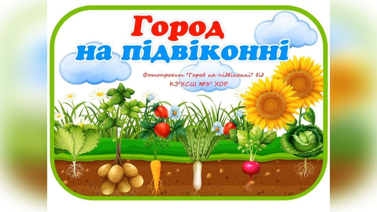 Фотопроєкт 