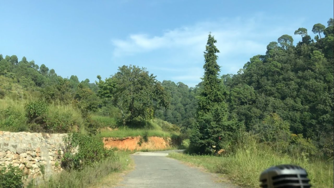 Dhankhal Gaon to Dwarahat Road Route | Dwarahat Almora Uttarakhand Road Trip