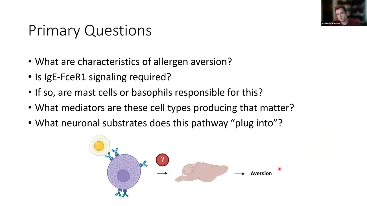 [Nathaniel D. Bachtel] Immune sensing of food allergens promotes avoidance behavior