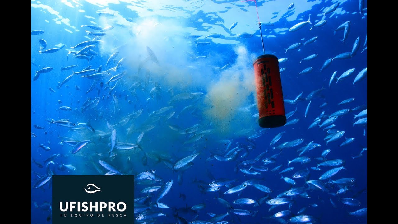 UFISHPRO en 