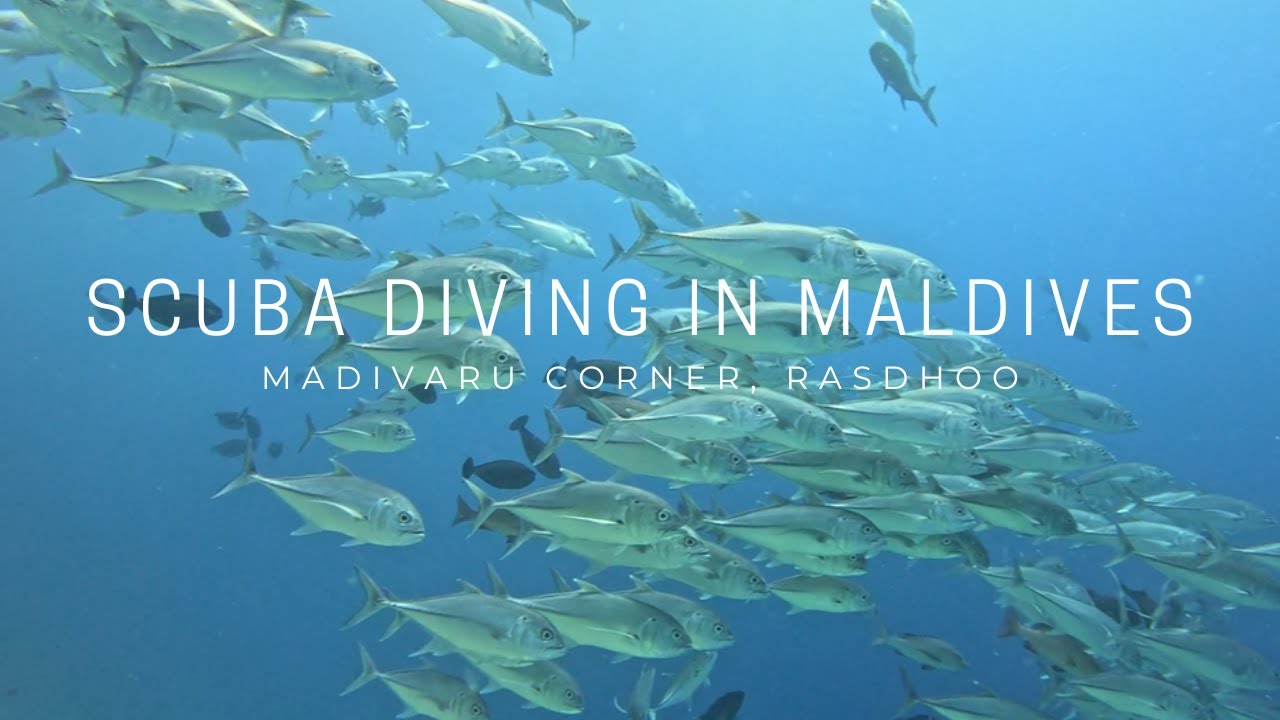 Scuba Diving in Maldives | Madivaru Corner | Mar 2023