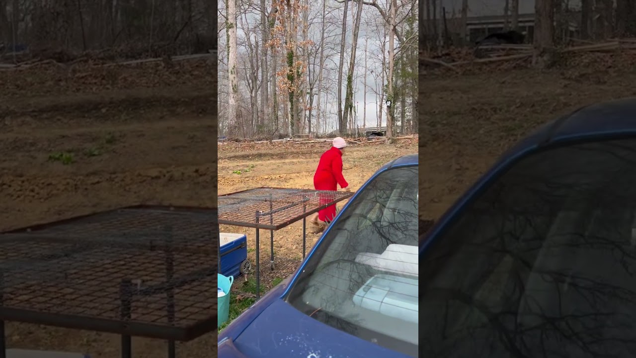 #fypシลมพัดมาฝนจะตก ภรรยาการเตรียมเมียนมักจัดแจงยู่ที่หลังบ้าน #ไม่รู้ฝนตกแรงหรือเปล่า ต้องเตรียมตัว