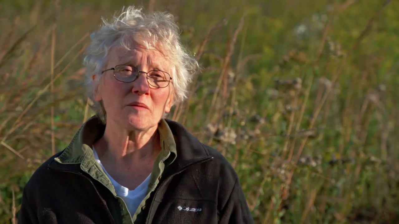 Mary Merkel-Hess: The Quiet Intensity of Shaping Reed, Paper, and Time
