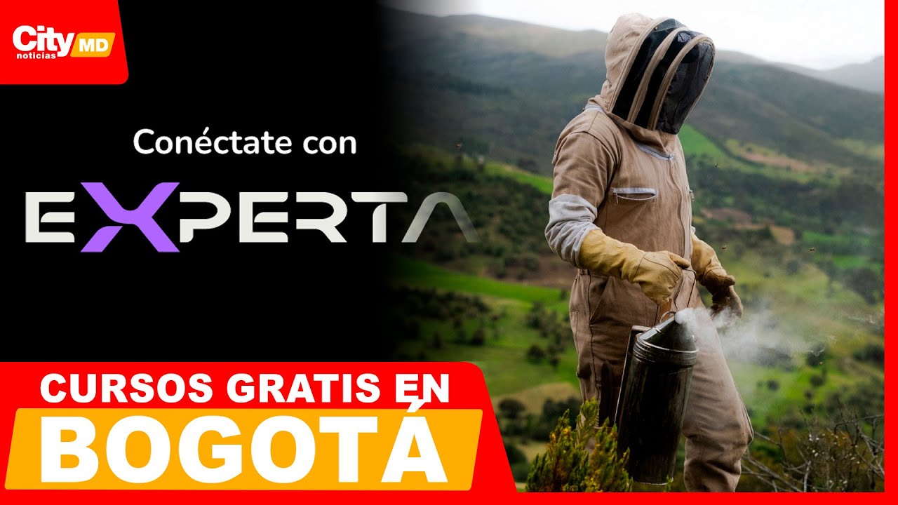 Secretaría ofrece cursos gratis y certificados en 2026 | City Noticias Medio Día