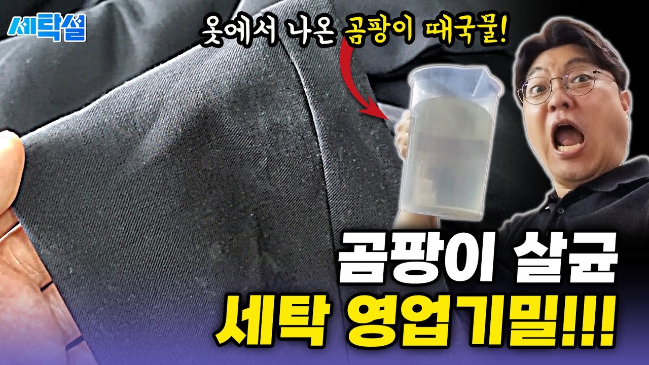장마철 곰팡이 핀 정장 살균, 탈취 하는 법! 세탁소에서 알려주지 않는 비밀