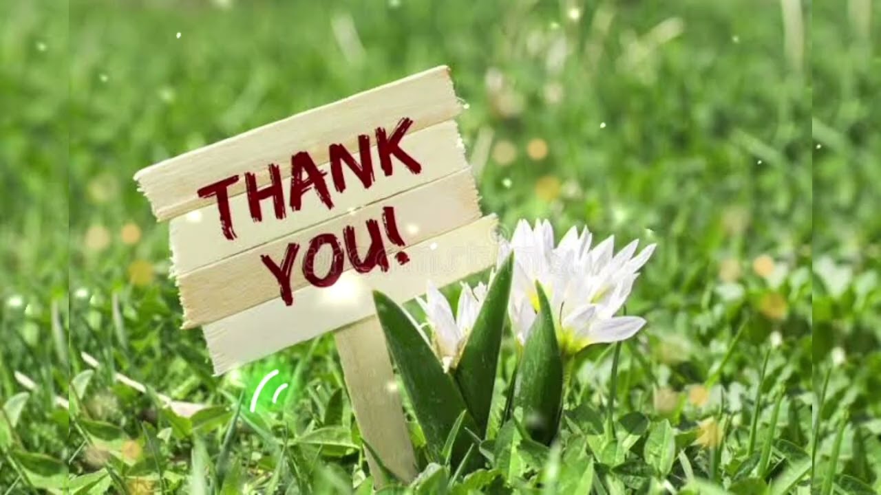Thank you
