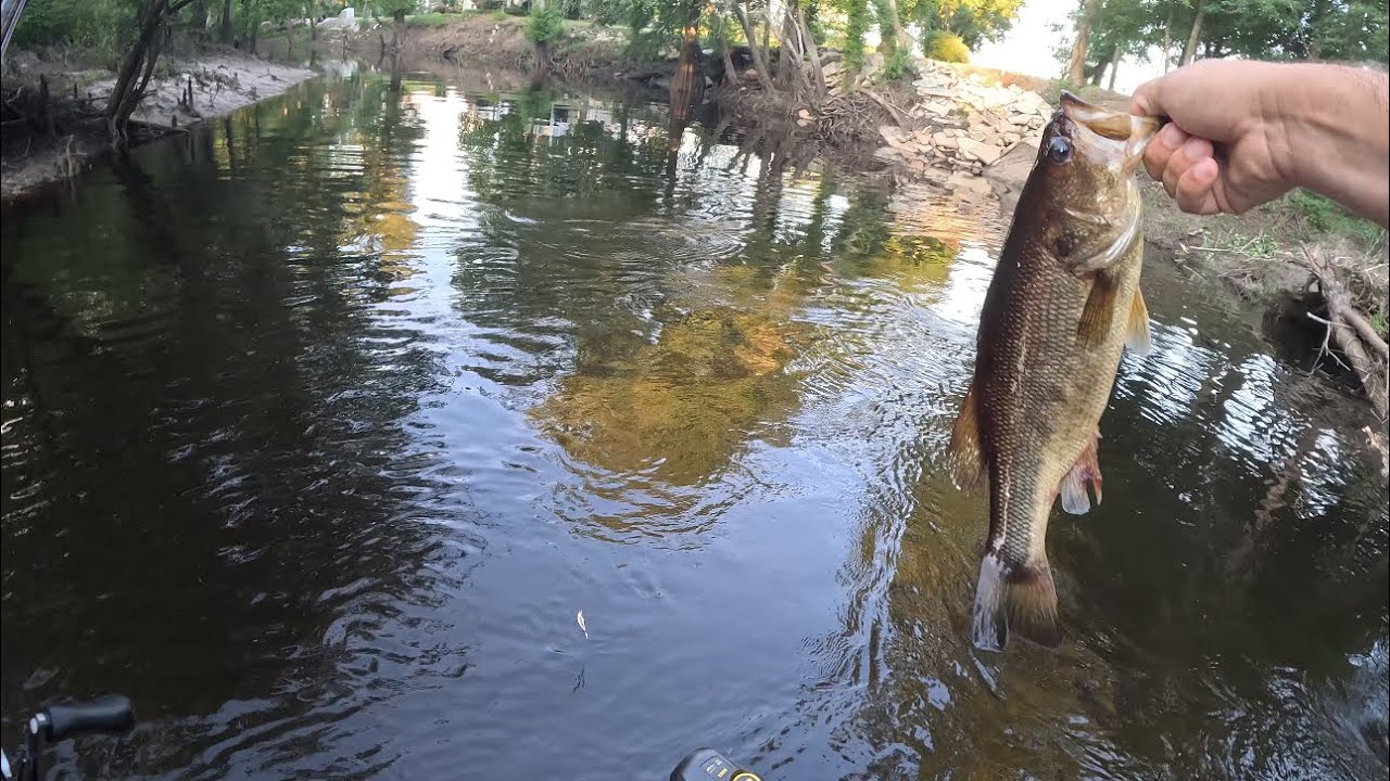 Largemouth fishing the Waccamaw river