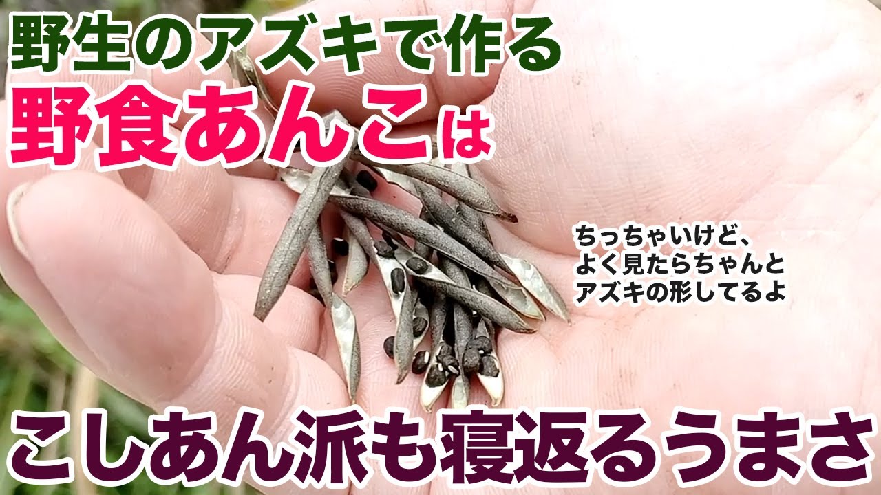 野生のアズキで作る「野食あんこ」は、こしあん派も寝返るうまさ