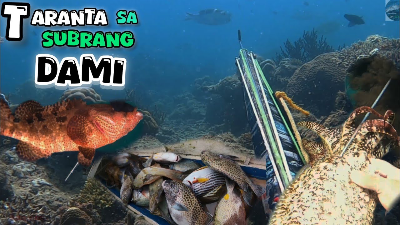 spearfishing 🇵🇭. naka Jackpot din. / solo dive