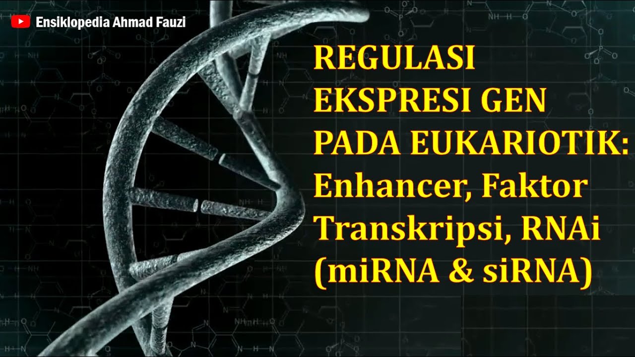 Enhancer, Faktor Transkripsi, dan RNA interference dalam Regulasi Ekspresi Genetik