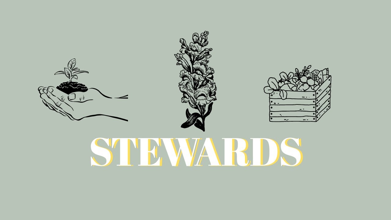 Tend your garden (Sunday, January 18th)