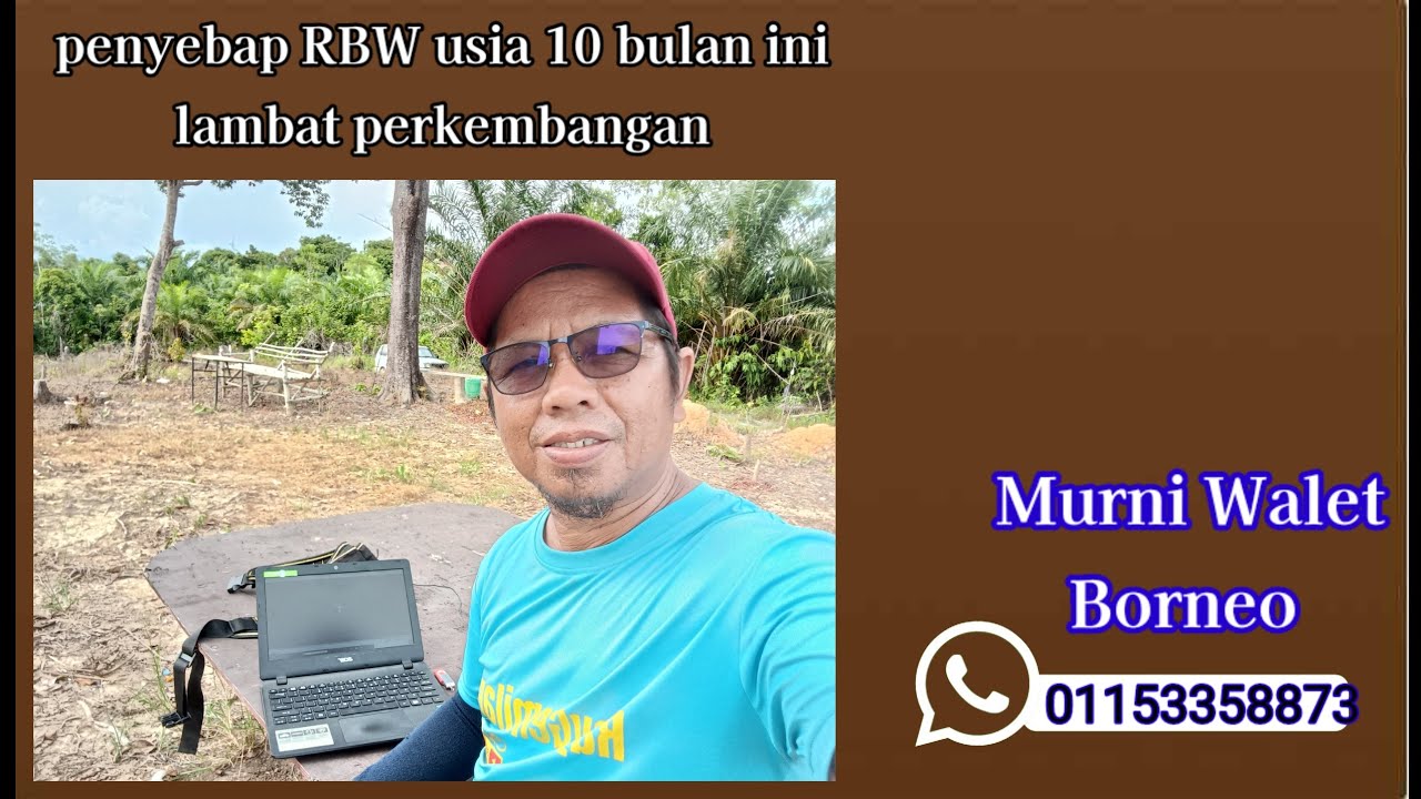 penyebap RBW usia 10 bulan ini agak lambat perkembangan
