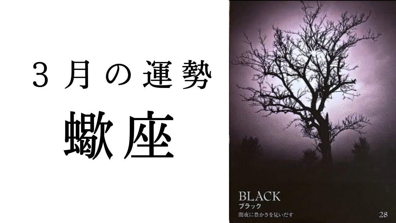【蠍座🌼3月の運勢】これまでしんどかった人へ。闇が光へ昇華する✨2026年タロット占い