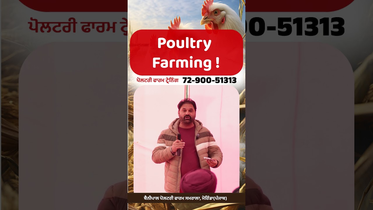 Poultry Farm 