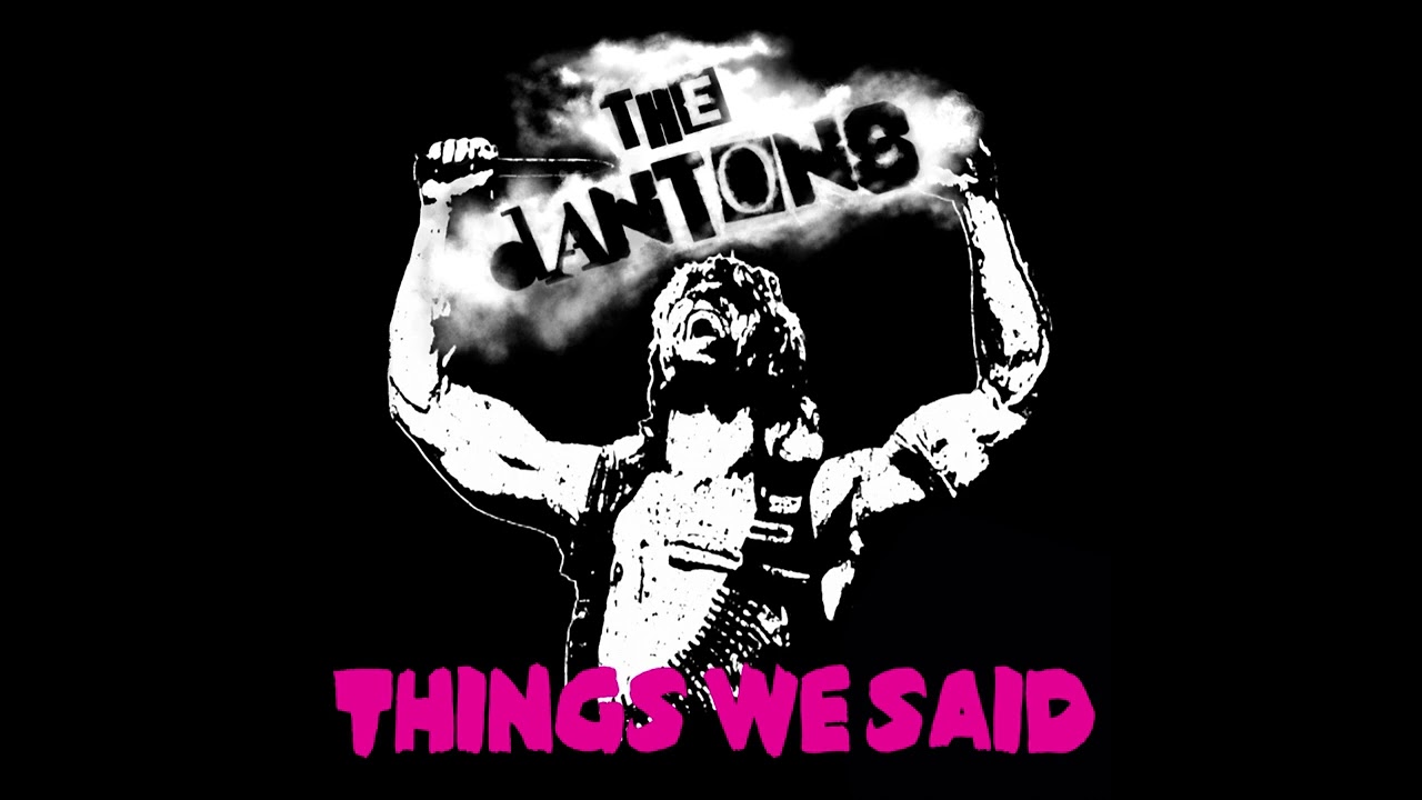 The Dantons - Things we said