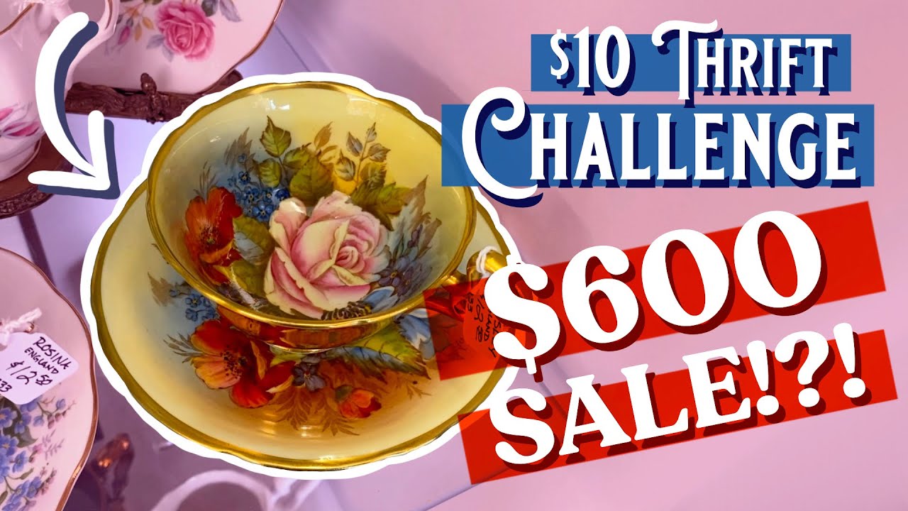 SUMMER FUN $10 THRIFT CHALLENGE! I CAN'T BELIEVE WHAT I FOUND!?!
