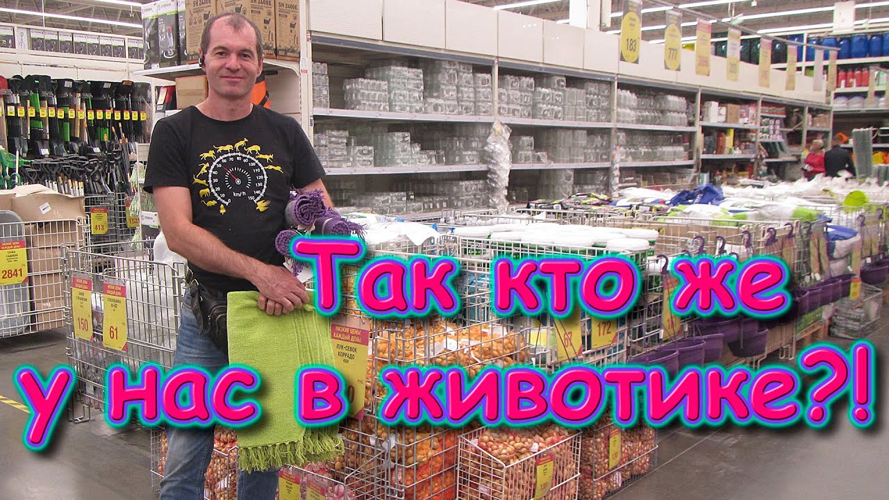 В городе - Второе УЗИ - пол ребенка. Покупки. Зарплата. Геодезия. (09.20г.) Семья Бровченко.