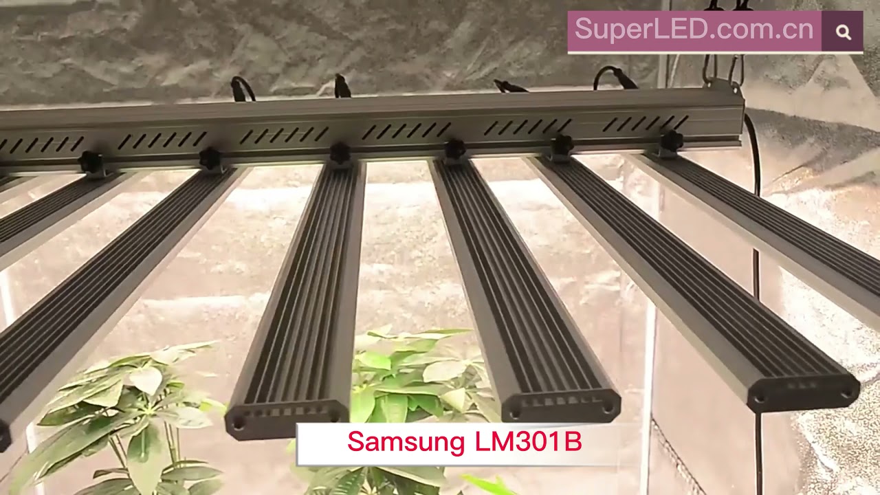 720 Watts Spider LED Plant Grow Lights  Samsung White Blue Lighting for flowers, Medicinal plants