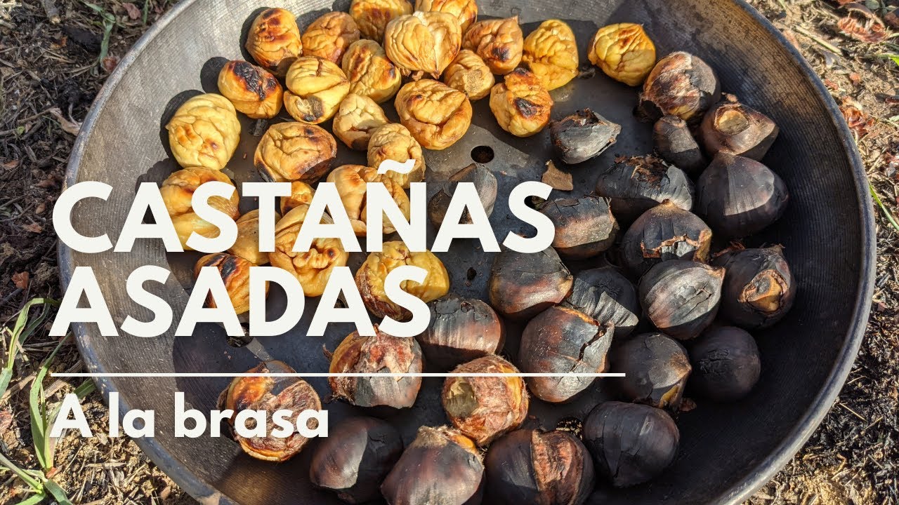 Castañas Asadas en fuego de leña sin sabor a humo - Explicado
