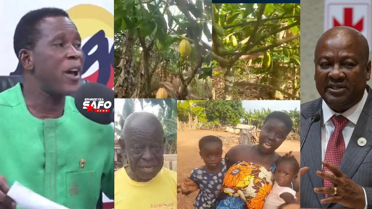 Махама в большой беде🔥Фермеры-производители какао из Западного региона возмущены его действиями и...