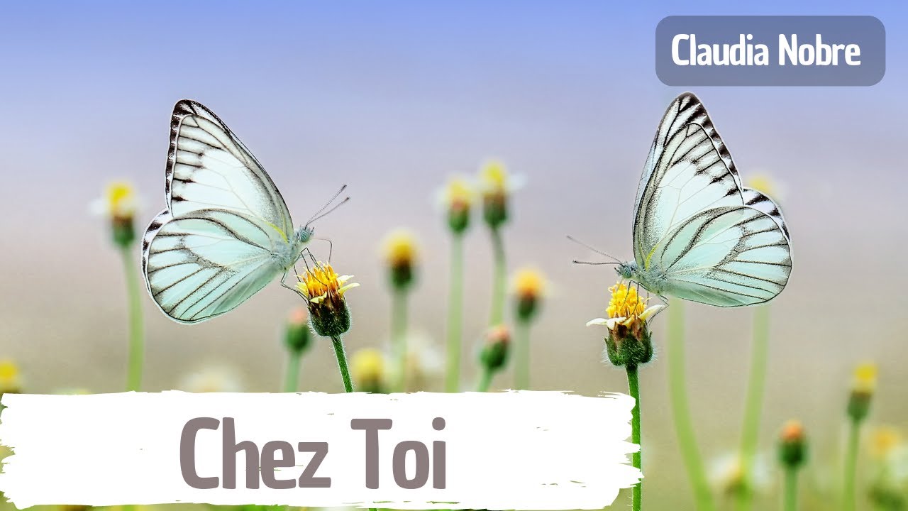 Chez Toi | Interprété par Claudia Nobre 06.01.2022