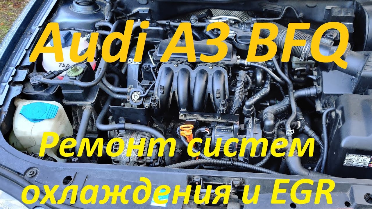 Ремонт систем охлаждения и EGR в Ауди A3 1.6 BFQ