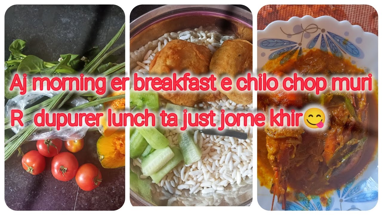 Aj morning er breakfast e chilo chop muri r dupurer lunch ta just jome khir😋🤗2026