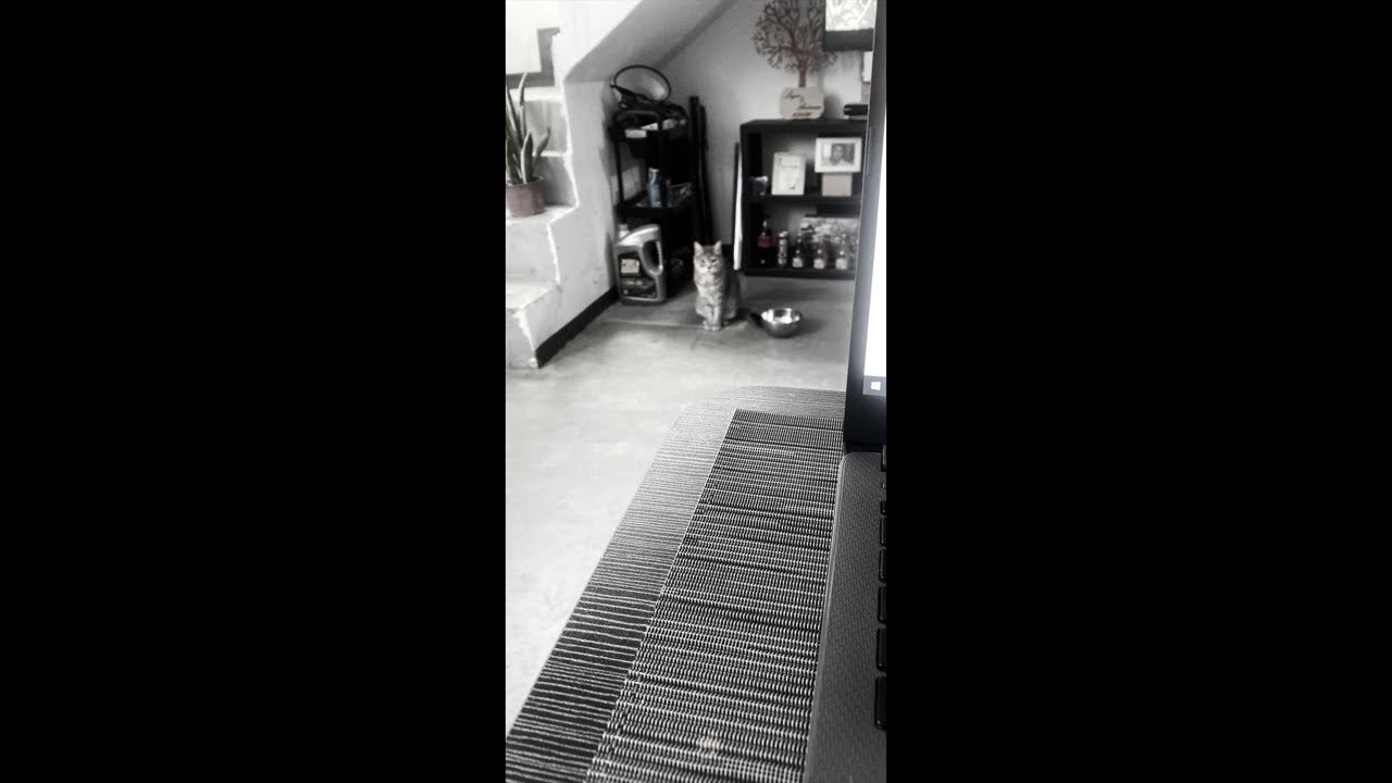 LeyG live 87 platicamos ? Mientras hacemos el lonche 🙄 Ptm no quiero hacer nada 😭