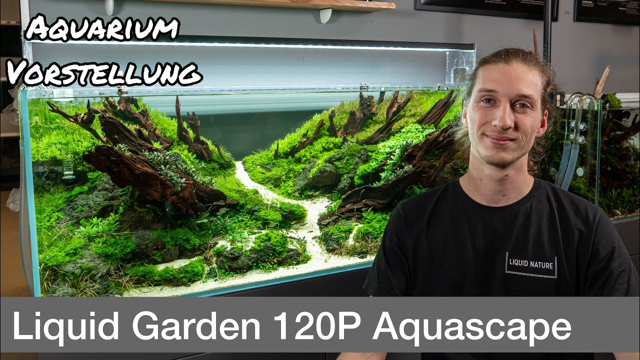 120cm Wettbewerb Aquascape | IAPLC Platz 131 | Liquid Nature